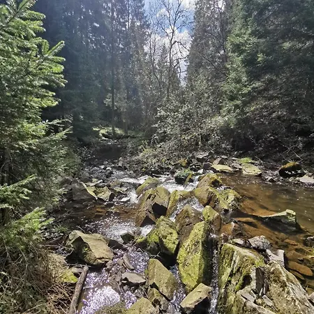 Lejlighed Gemuetliches Nest Mit Weitblick *